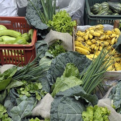 Deputado destaca projetos de incentivo a agricultura familiar