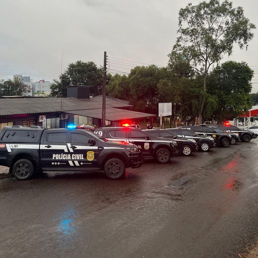 Polícia Civil apresenta resultados da Operação Protetor no Oeste Catarinense