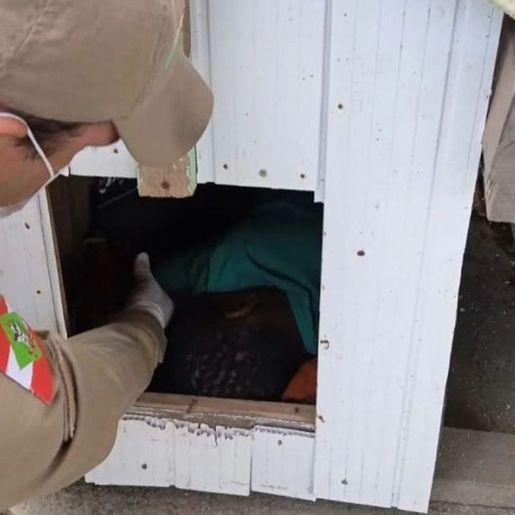 Criança é encontrada dormindo em casinha de cachorro em SC