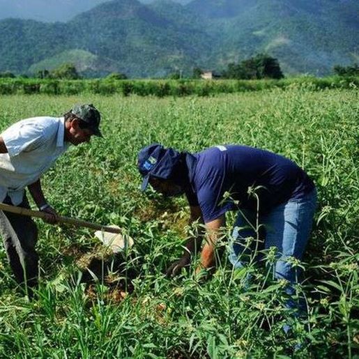 Encontro do Crédito Fundiário de Bandeirante será nesta quinta-feira