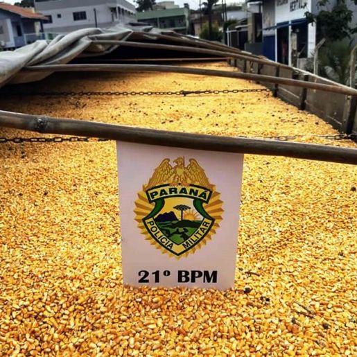 Caminhão carregado com 18 toneladas de milho contrabandeado é apreendido