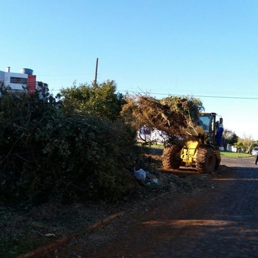 SMO: Recolha de galhos não é mais realizada pela prefeitura