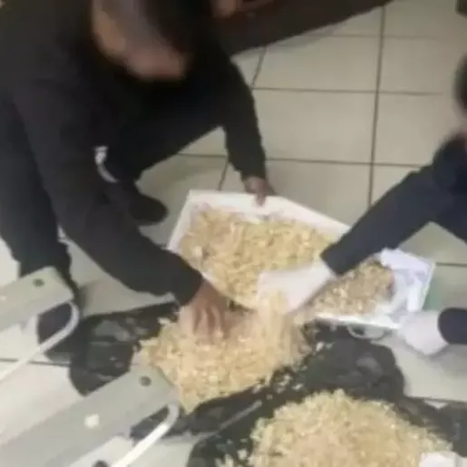 Família descobre serragem no lugar de corpo em caixão de bebê