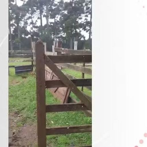 Neve cai pela primeira vez em 2024 em SC, na Serra