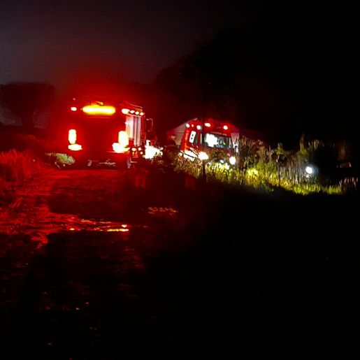 Idoso é socorrido em estado gravíssimo após queda de árvore no interior de SMO