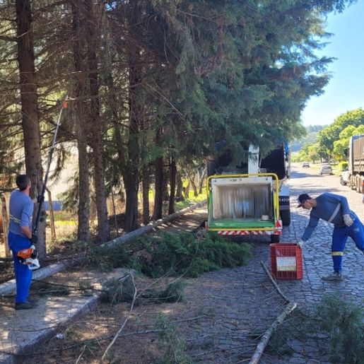 São Miguel do Oeste inicia nova etapa de poda e trituração de galhos a partir do dia 12