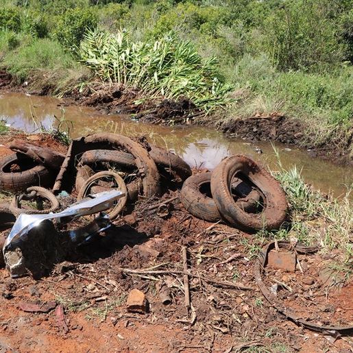 Área de preservação é limpada em Palma Sola