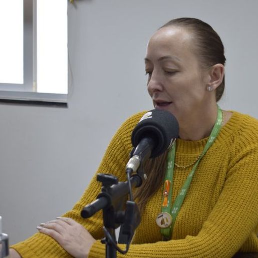 CREAS registra 20 denúncias de violência contra idosos em 2024 em SMOeste