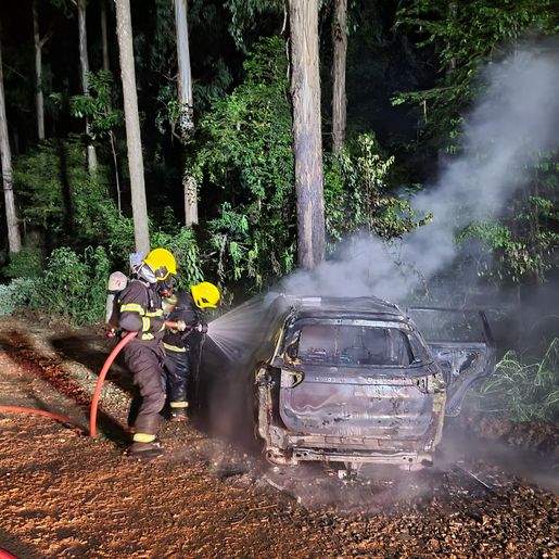 Carro bate em árvore e pega fogo em São José do Cedro