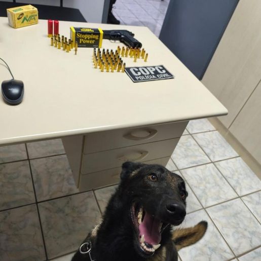 Operação policial apreende armas e reforça combate ao crime em Descanso