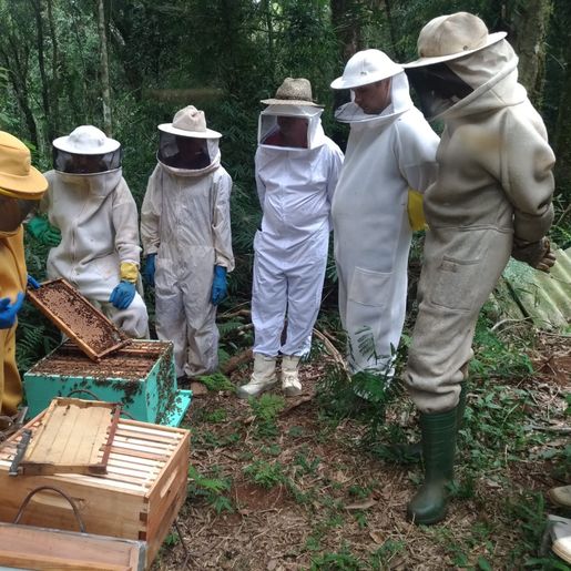 Encontro aborda o melhoramento genético de abelhas em Iporã do Oeste