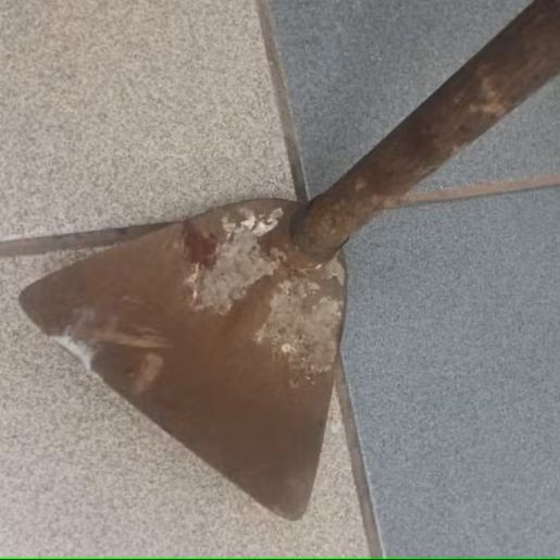 Homem é preso suspeito de acertar mãe na cabeça com golpe de enxada em SC