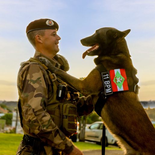 Depois de oito anos de serviços prestados, o cão de faro Axel, foi aposentado