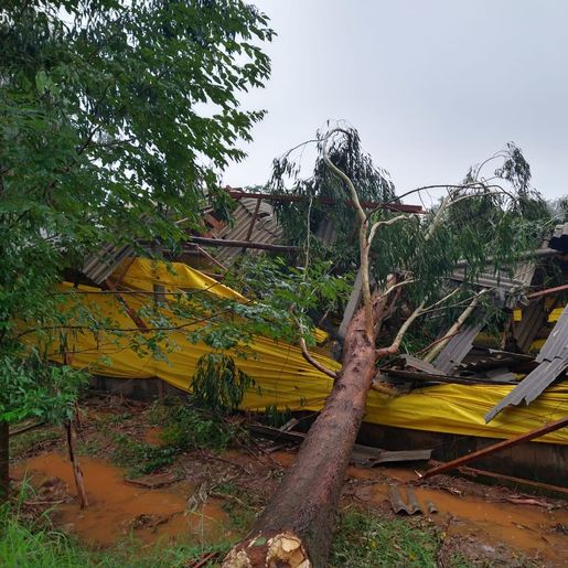 Prejuízos causados por temporal chegam a R$ 100 mil