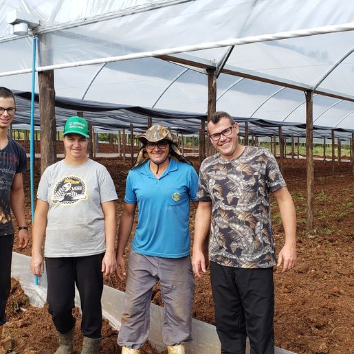 Empreendedor aposta na produção de hortifrutis no interior de Mondaí