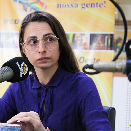 Peperi analisa contexto que envolve os recentes ataques a creches e escolas