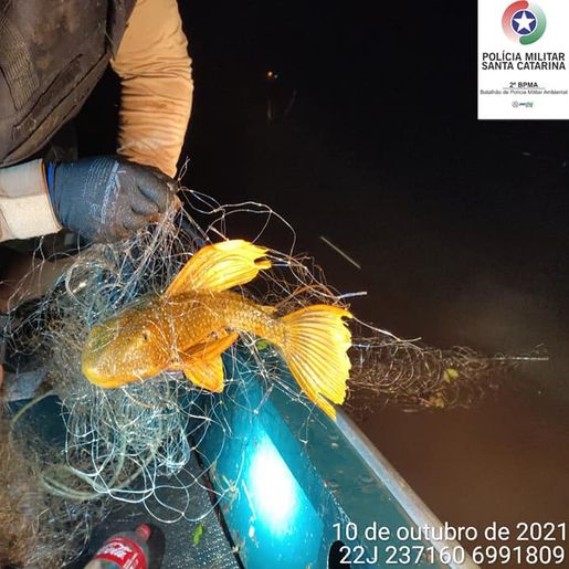 Polícia Ambiental apreende 1550 metros de redes de pesca em Itapiranga