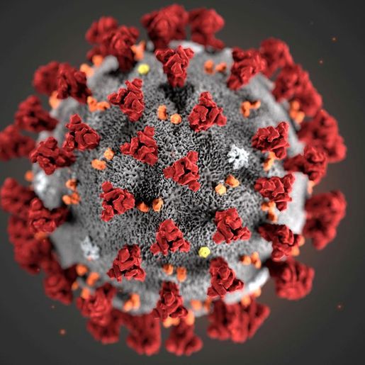 Diretora da OMS diz que mundo está entrando em quarta onda de covid-19