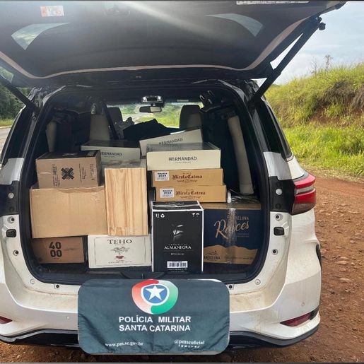 Polícia apreende caminhonete com R$ 39 mil em mercadorias ilegais na BR-280, em Dionísio Cerqueira