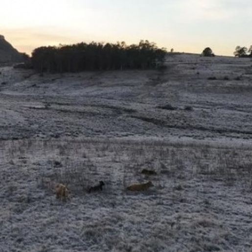 Com -9,1ºC, RS tem menor temperatura do ano