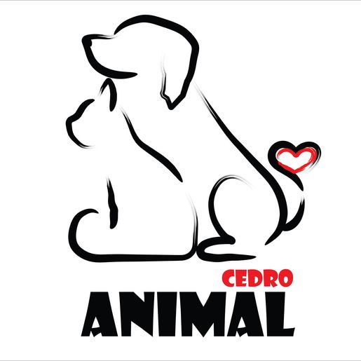 Ong Cedro Animal realiza o segundo mutirão de castração em dezembro