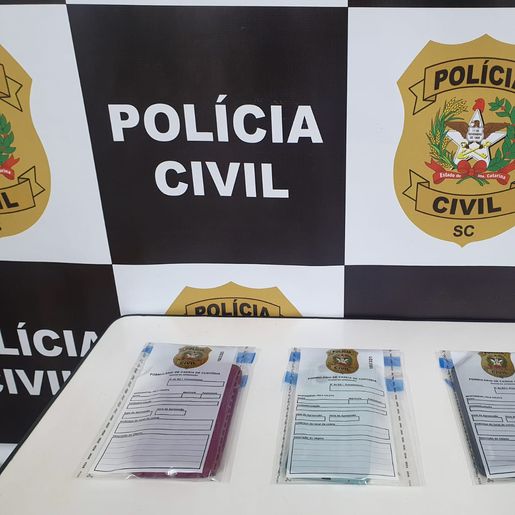 Polícia Civil recupera telefones furtados e identifica autor em Cedro