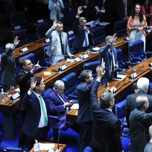 Taxação de compras internacionais de até US$ 50 é aprovada pelo Senado