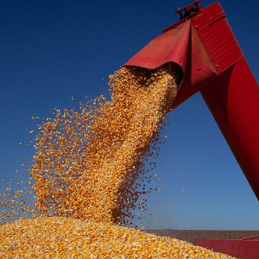 Negociações para reativação da rota do milho devem iniciar nesta semana