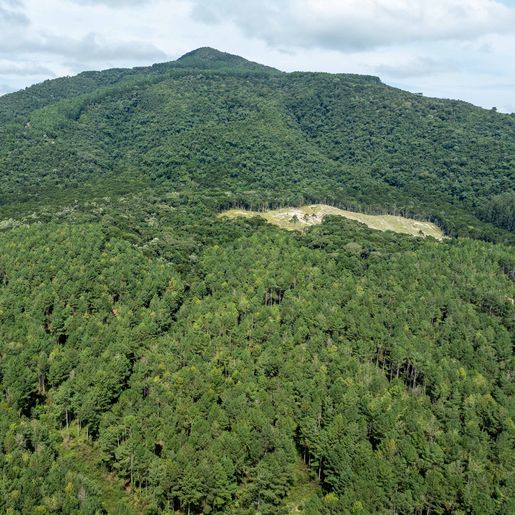 STF suspende processos contra norma ambiental de SC após atuação da Procuradoria do Estado