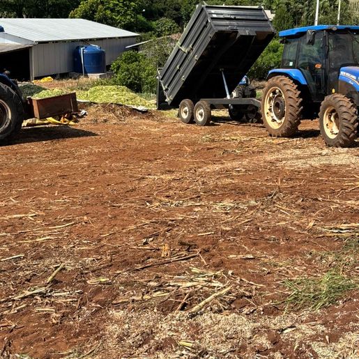 Agricultura reforça apoio a produtores na silagem em Descanso