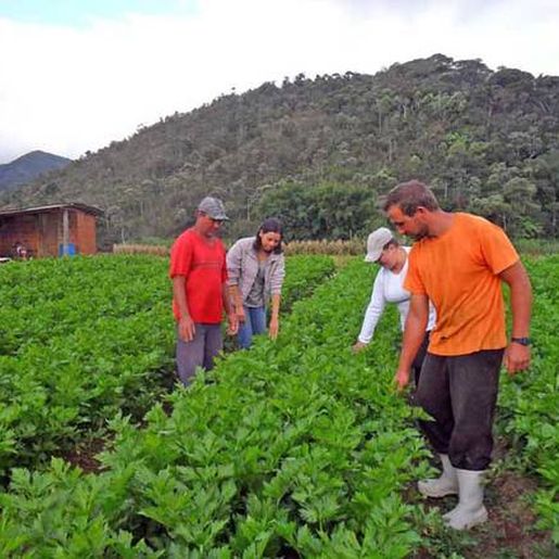 Santa Catarina cria projeto de apoio a pequenos empreendimentos rurais