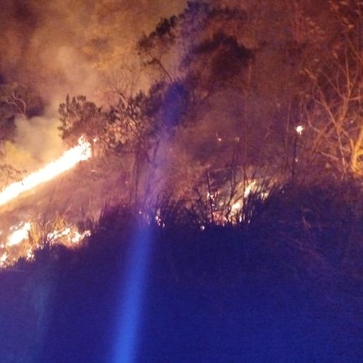 Incêndios em vegetação são registrados em São Lourenço do Oeste