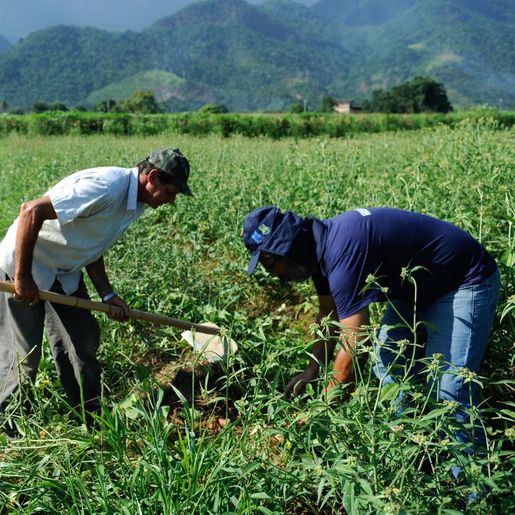 Capacitação de jovens rurais vai debater sucessão familiar em Princesa