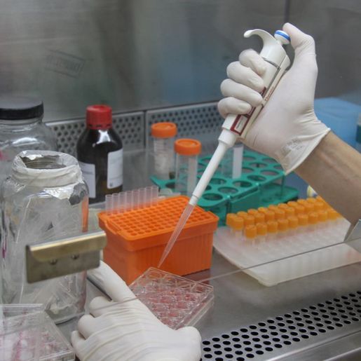 Nova subvariante muito transmissível do Coronavírus preocupa especialistas