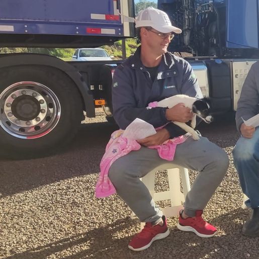 Mutirão de castração ocorreu em São José do Cedro