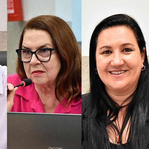 Vereadores de SMO defendem produtores e pedem veto ao leite em pó importado