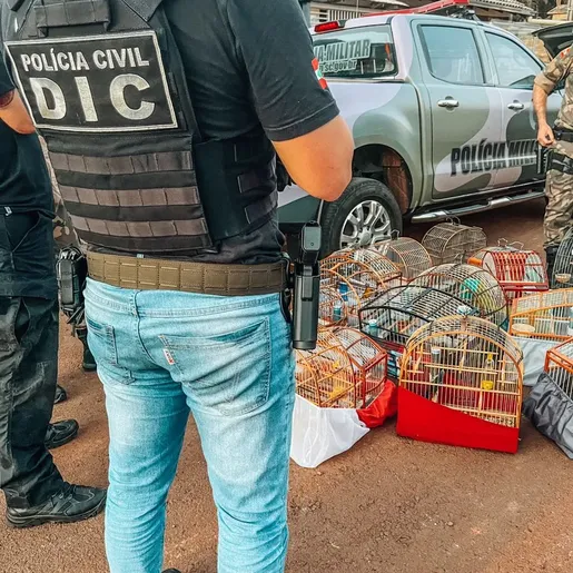 Mais de 15 aves silvestres são apreendidas em uma residência no Oeste de SC