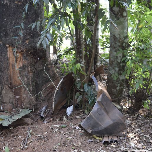 Mulher sofre ferimentos em colisão contra árvore