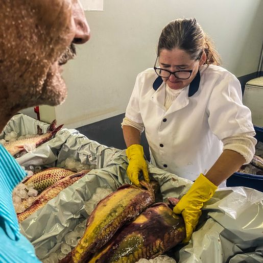 SMOeste deve vender mais de 10 toneladas de peixes até a Páscoa