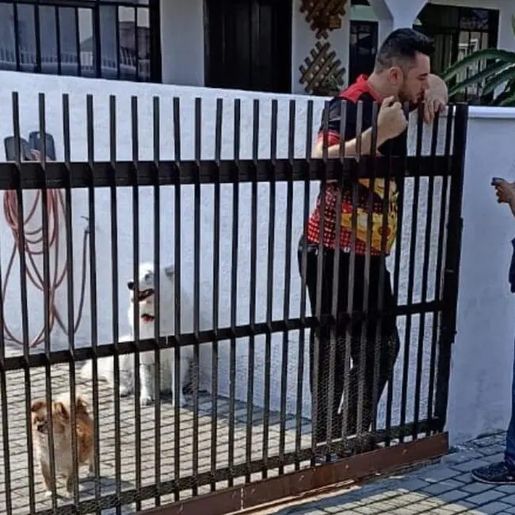 IBGE faz "última chamada" para quem ainda não respondeu ao Censo; veja como participar