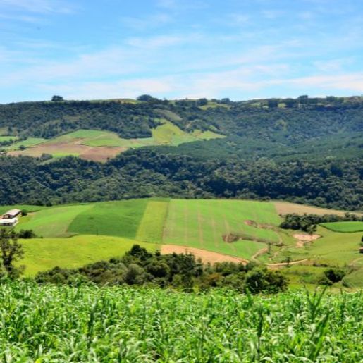Itapiranga possui 150 propriedades sem o CAR; Epagri continua busca ativa
