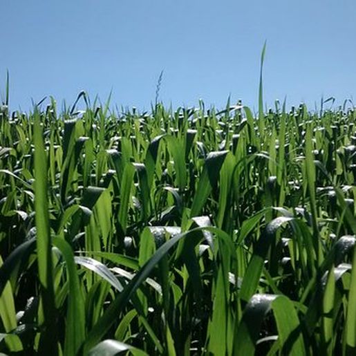 Em Anchieta, Empretec Rural acontece de 7 a 12 de Novembro
