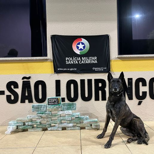 Cerca de 30kg de crack avaliados em mais de R$ 500 mil são apreendidos na SC-157