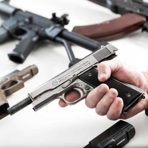 Novos registros de armas de fogo em SC têm alta de 300% de 2018 a 2021