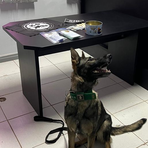 Polícia prende dois homens por tráfico de drogas em Pinhalzinho