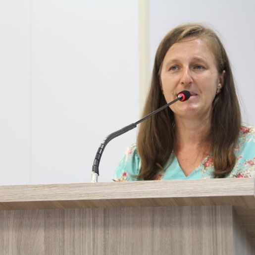 Colegiado de Secretários da Agricultura debatem ações do setor