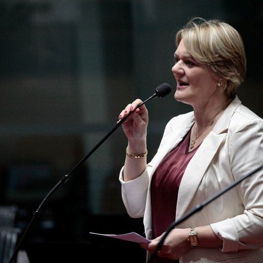 Deputada diz que Alesc itinerante reforça busca de solução para pedidos da região