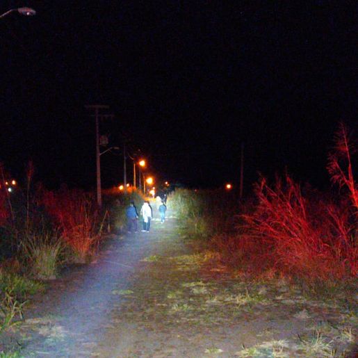 Polícia flagra jovens reunidos em loteamento de Iporã do Oeste