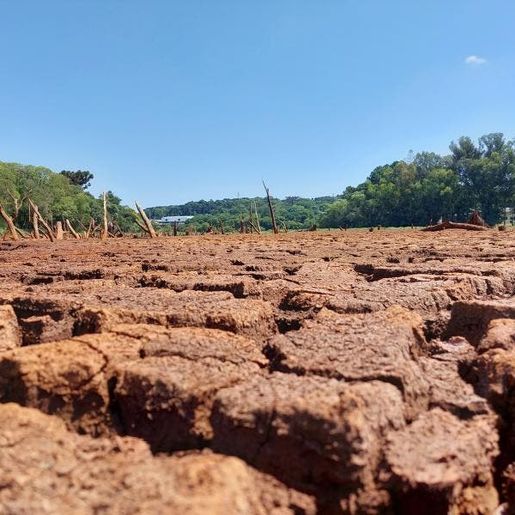 Sem chuva, Bandeirante começa a distribuir água para famílias do interior