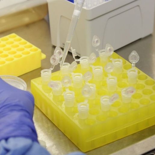 Santa Catarina registra dez mortes em decorrência da Covid 19